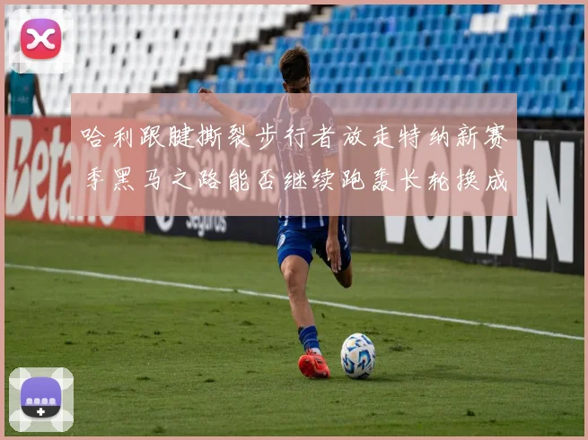 哈利跟腱撕裂步行者放走特纳新赛季黑马之路能否继续跑轰长轮换成关键