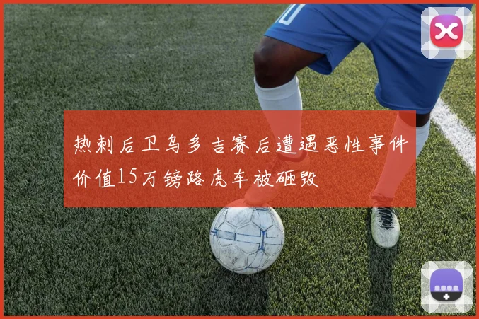 热刺后卫乌多吉赛后遭遇恶性事件价值15万镑路虎车被砸毁
