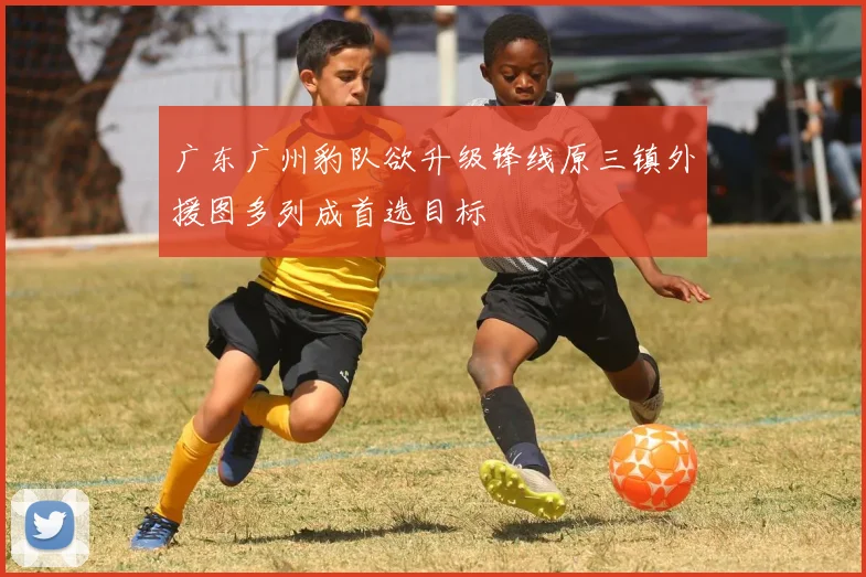 广东广州豹队欲升级锋线原三镇外援图多列成首选目标