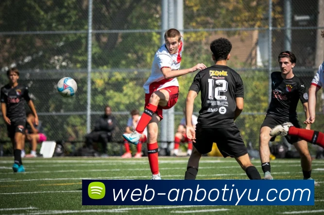 多媒体互动体验