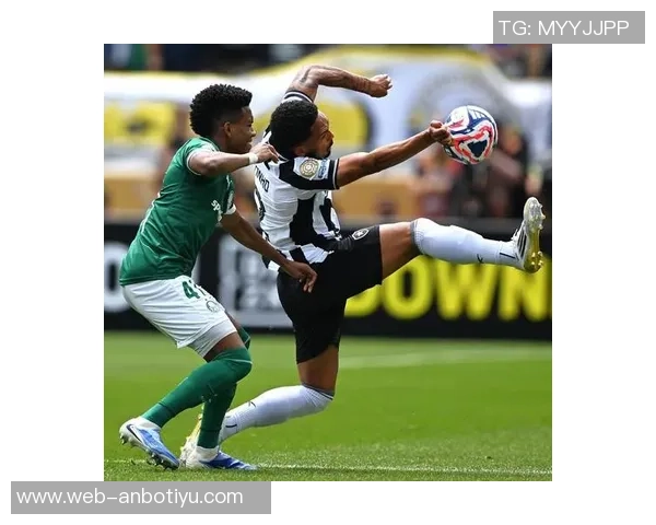 埃弗顿冬季转会瞄准博塔弗戈右后卫维蒂尼奥加强阵容